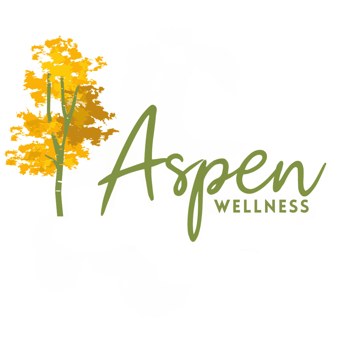 Aspen Testimony
